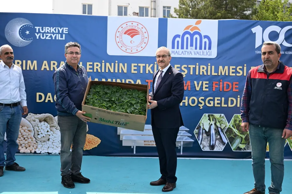 Vali Yavuz: 
