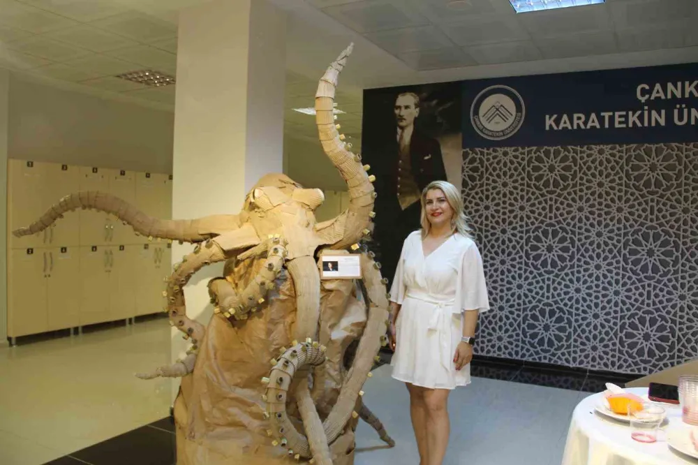 Atık Kartonlardan Sanat Eseri