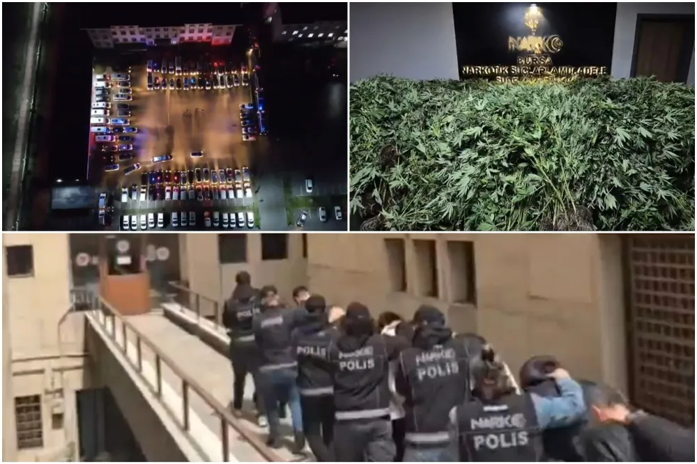 Bursa