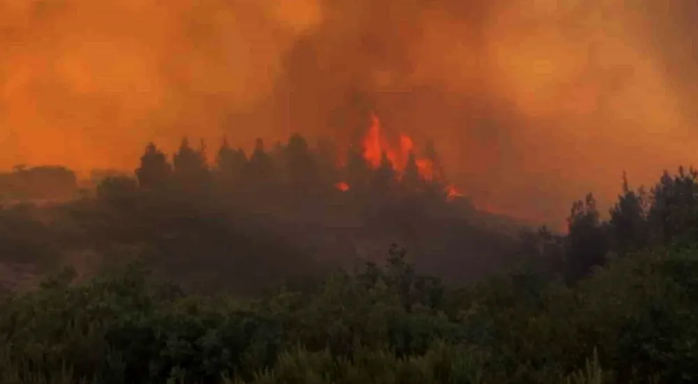 Balıkesir’de Orman Yangını