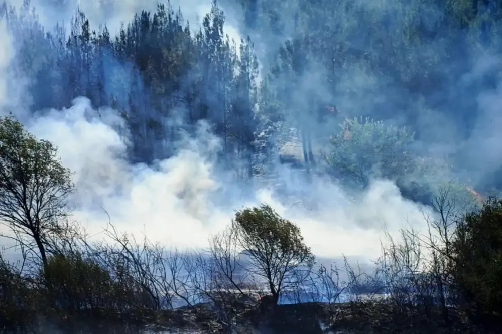 Adana Kozan’da Orman Yangını Kontrol Altına Alındı