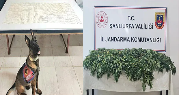 Şanlıurfa’da Uyuşturucu Operasyonu: 2 Gözaltı