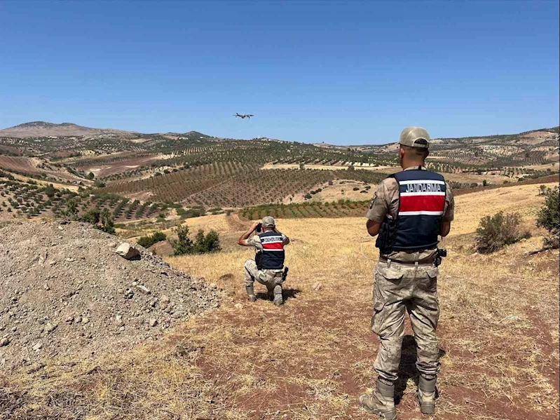 Kilis’te kaybolan küçükbaş hayvanlar bulundu
