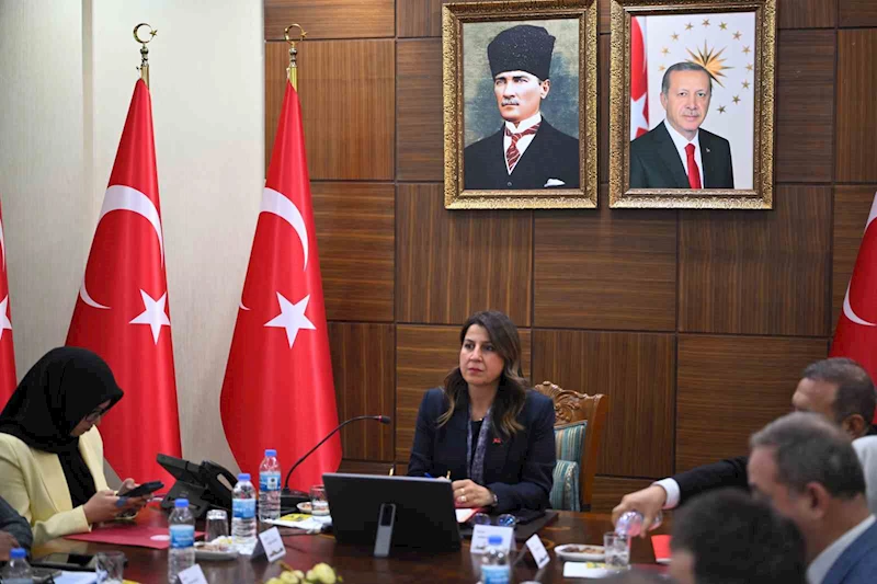 Diyarbakır’da, kadın hizmetleri bölgesel istişare toplantısı yapıldı
