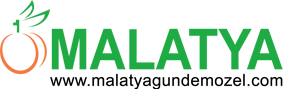 Malatya Gündem Özel
